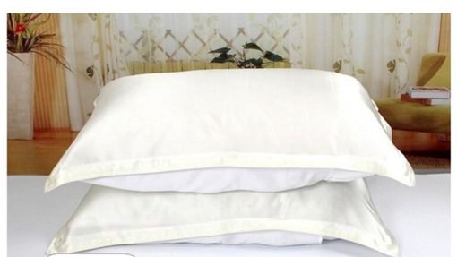 Mulberry Silk Pillow Case