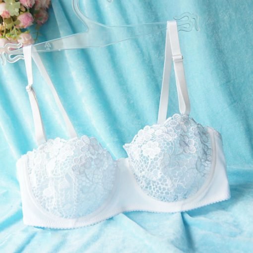 Women's Sexy Lace Charming Transparent Embroidered Bra - Image 5