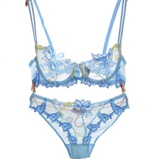 Women’s Sexy Plus Size D Cup Lace Transparent Bra Panty Set - Image 4
