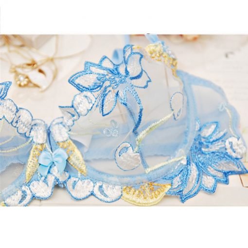 Women’s Sexy Plus Size D Cup Lace Transparent Bra Panty Set - Image 2