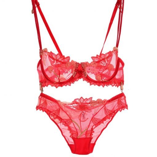 Women’s Sexy Plus Size D Cup Lace Transparent Bra Panty Set - Image 5